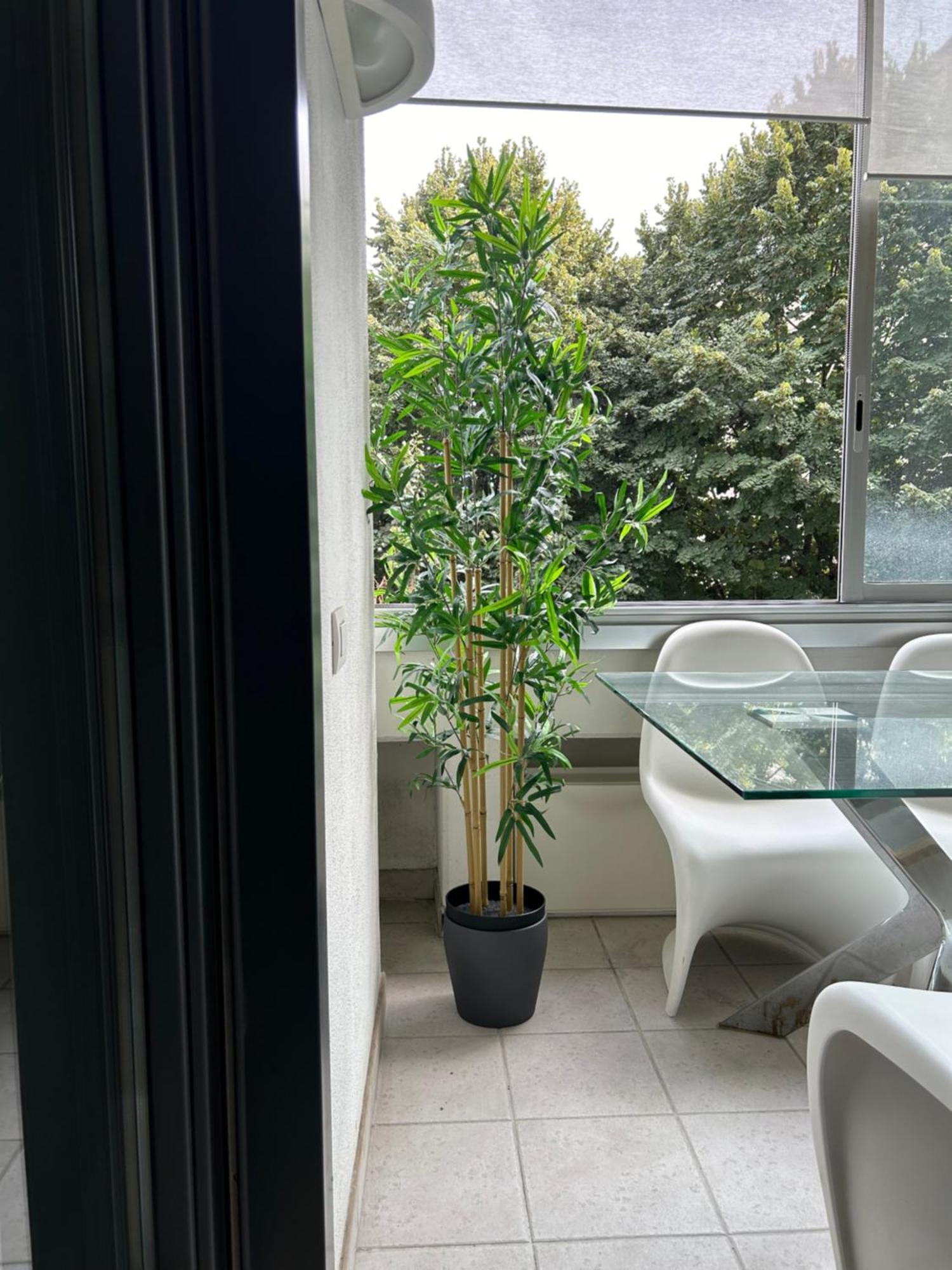 Dina Suite Rome Exterior photo